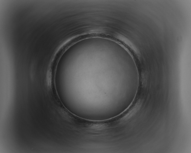 X0000100931021200806241401