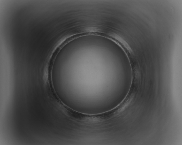 X0000100931023200806241401