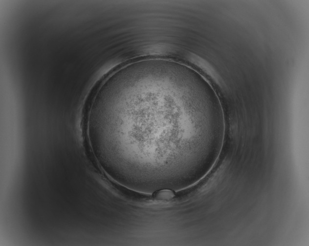 X0000100931026200806241401