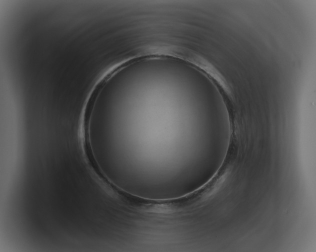 X0000100931028200806241401