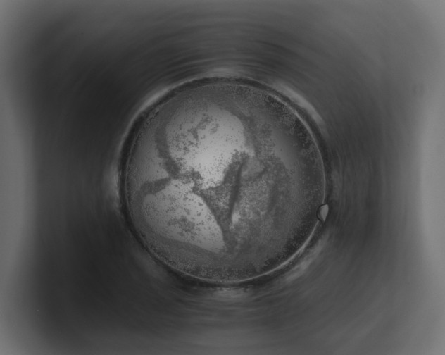 X0000100931029200806241401