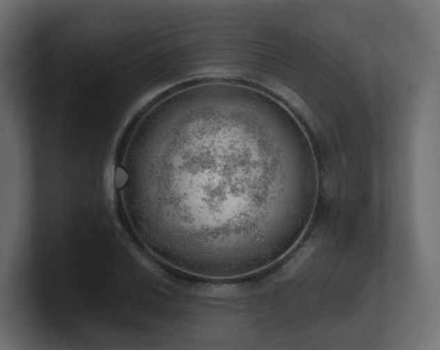 X0000100931030200806241401