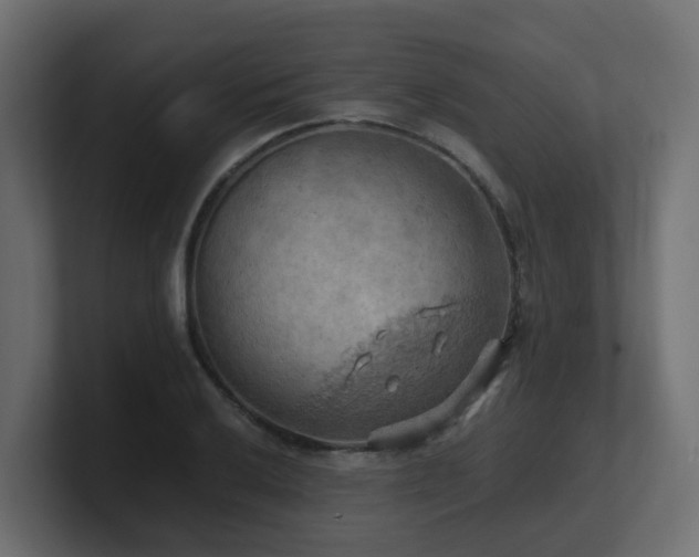 X0000100931032200806241401