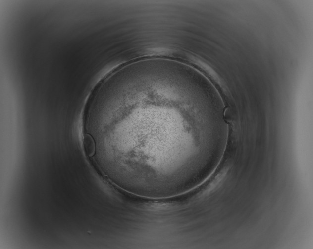 X0000100931034200806241401