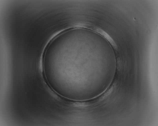 X0000100931036200806241401