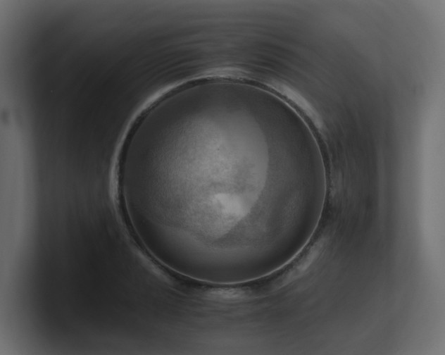 X0000100931037200806241401