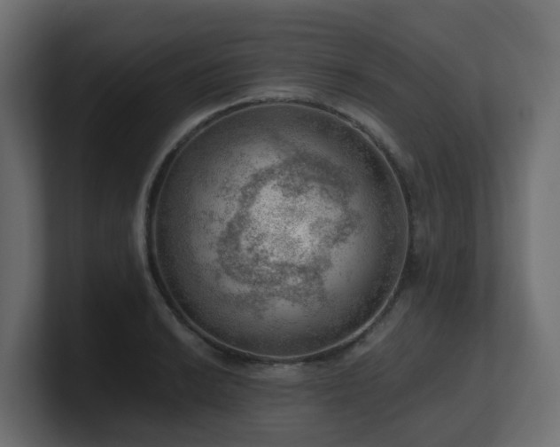 X0000100931038200806241401