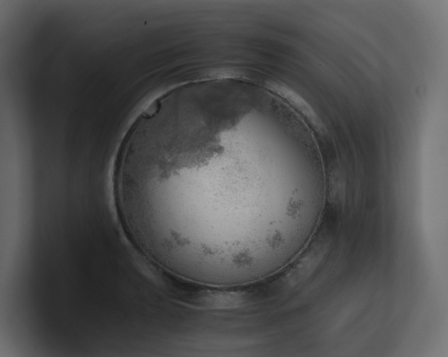 X0000100931039200806241401