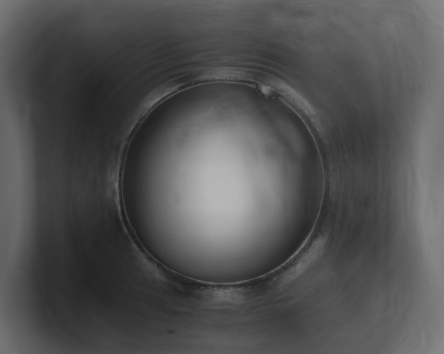 X0000100931041200806241401