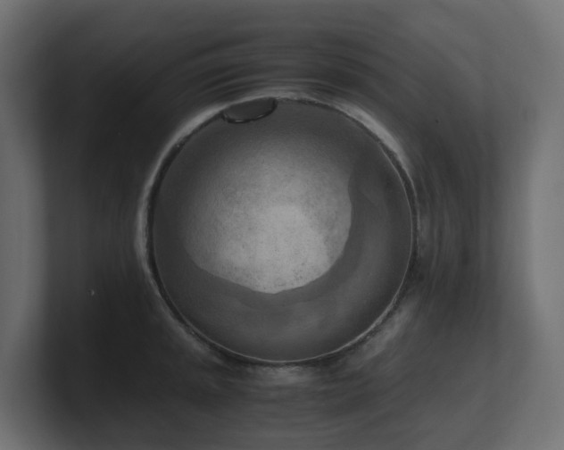 X0000100931045200806241401