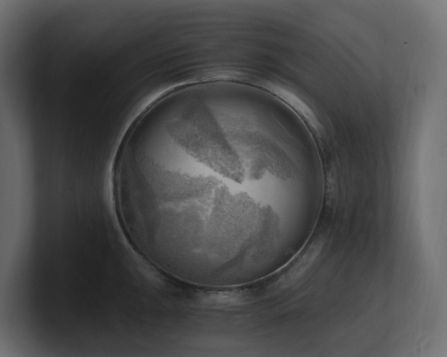 X0000100931047200806241401