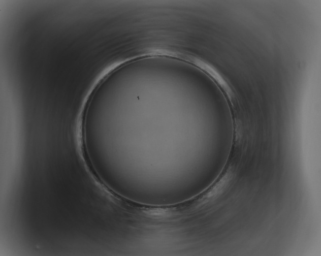 X0000100931048200806241401