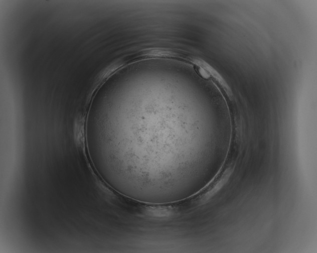 X0000100931049200806241401