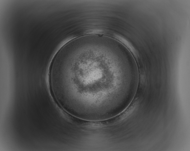 X0000100931050200806241401