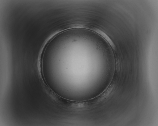 X0000100931051200806241401