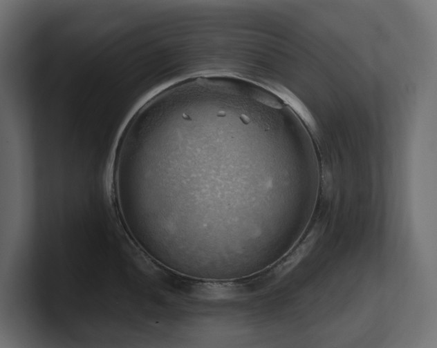 X0000100931052200806241401