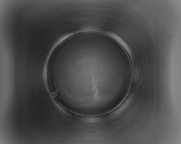 X0000100931053200806241401