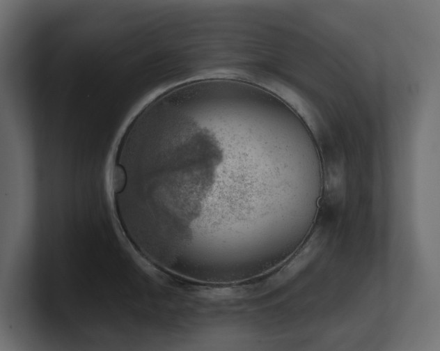 X0000100931054200806241401