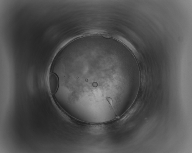 X0000100931055200806241401