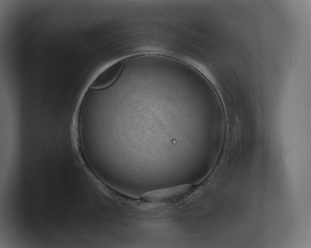 X0000100931056200806241401