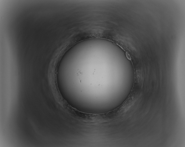 X0000100931057200806241400