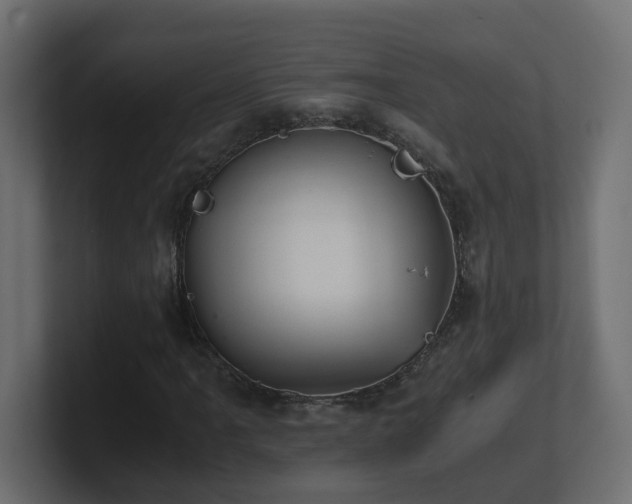 X0000100931061200806241400