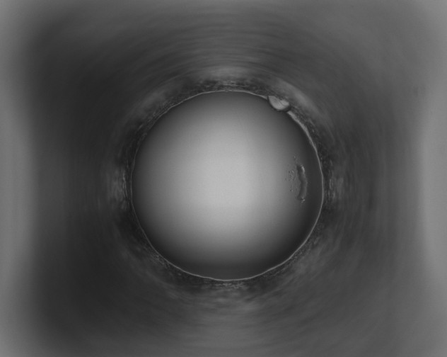 X0000100931062200806241400