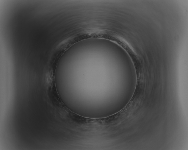 X0000100931063200806241400