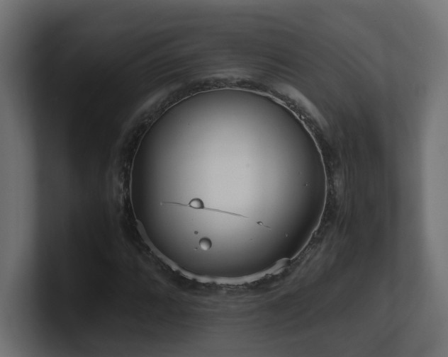 X0000100931064200806241400