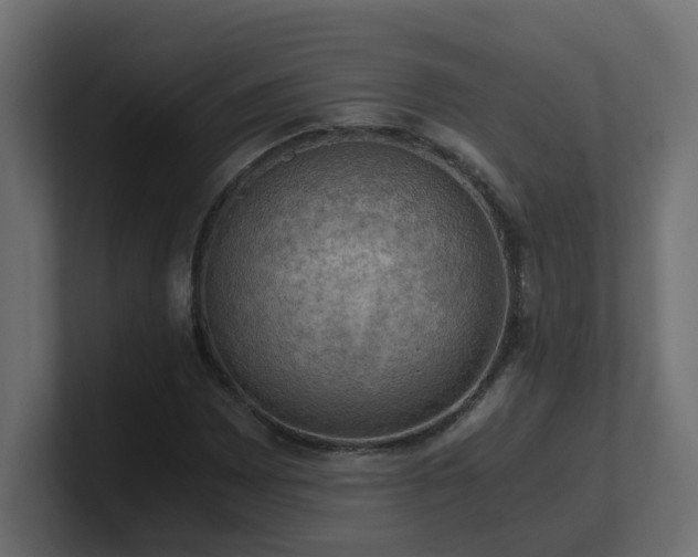 X0000100931065200806241400