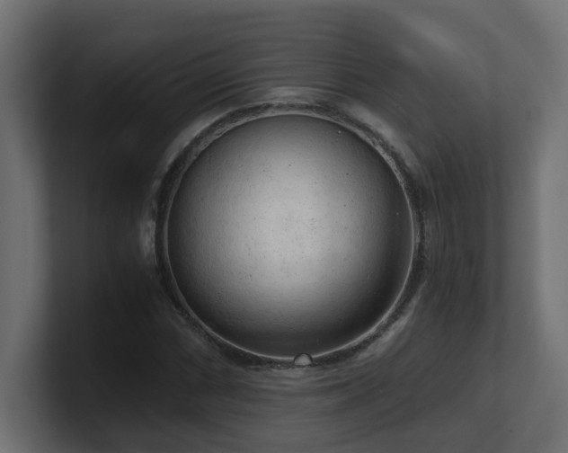 X0000100931066200806241400