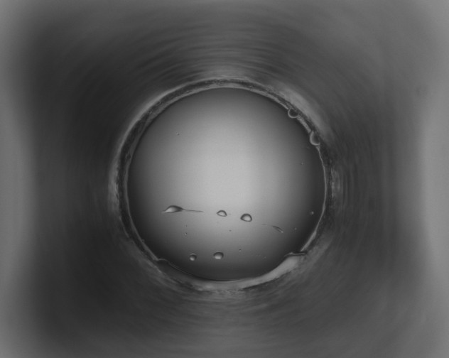 X0000100931068200806241400