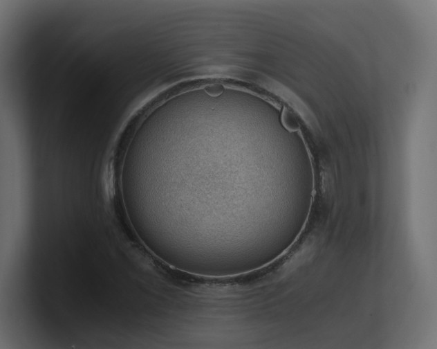 X0000100931069200806241400