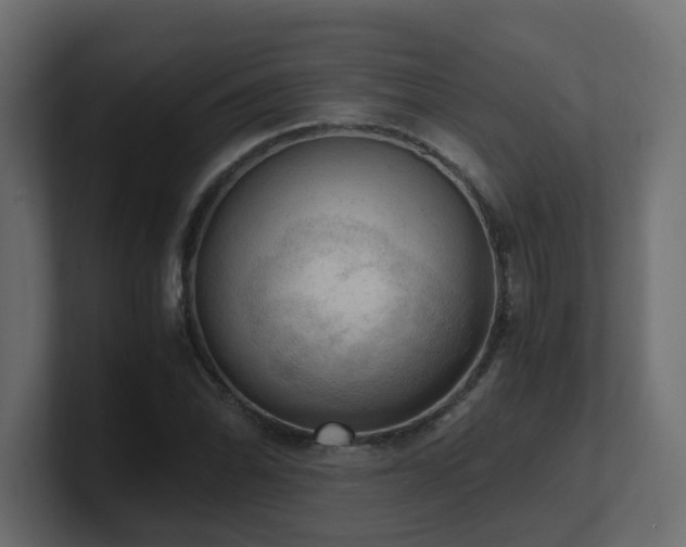 X0000100931070200806241400