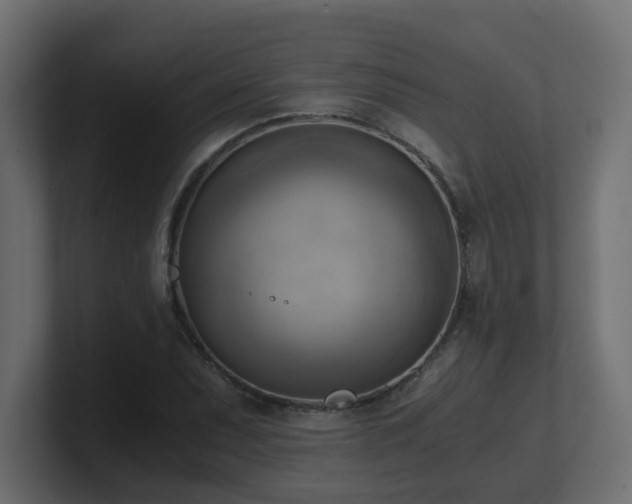 X0000100931071200806241400