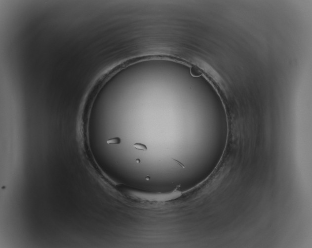 X0000100931072200806241400