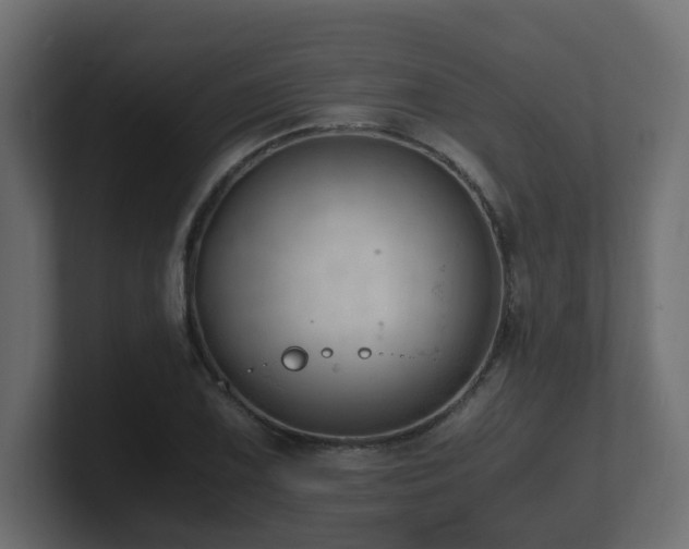 X0000100931075200806241400