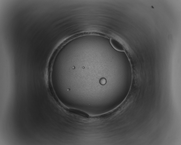 X0000100931076200806241400