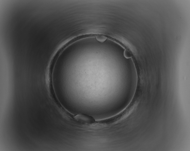 X0000100931077200806241400