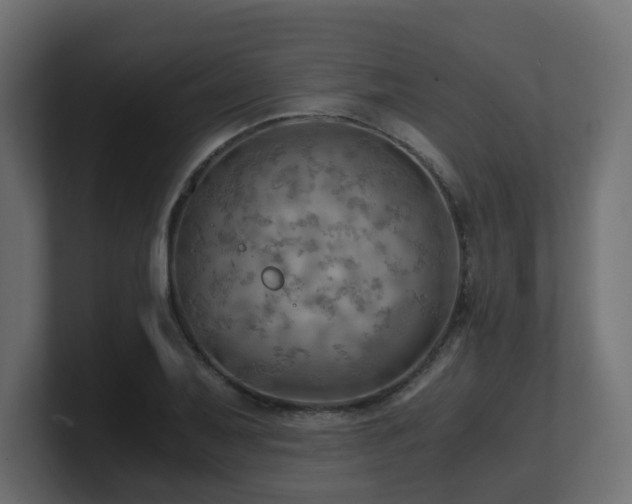 X0000100931079200806241400