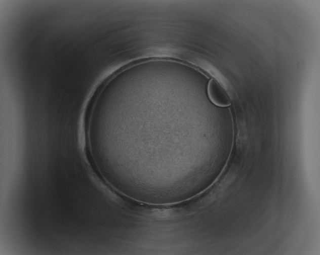 X0000100931080200806241400