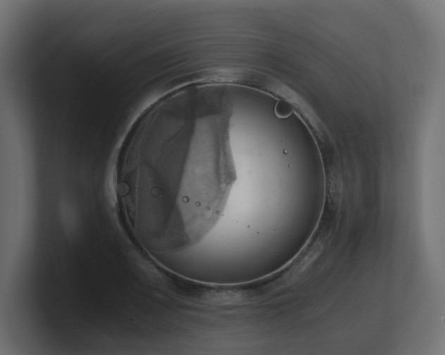 X0000100931083200806241400