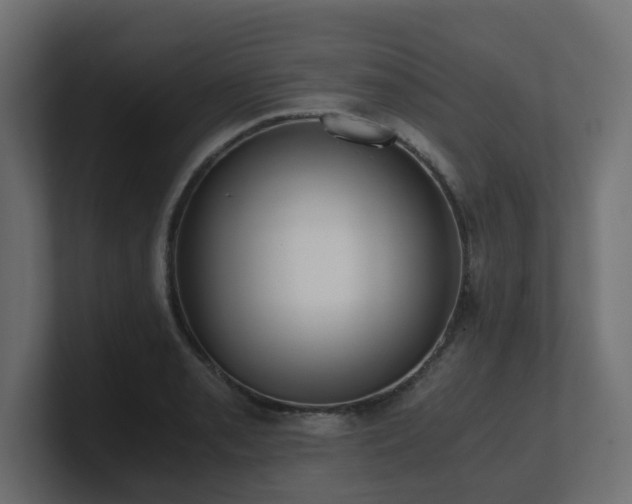 X0000100931085200806241400