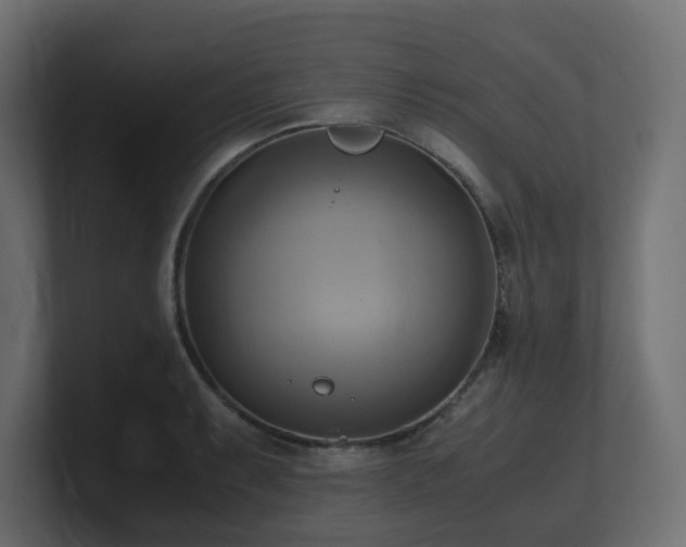 X0000100931087200806241400