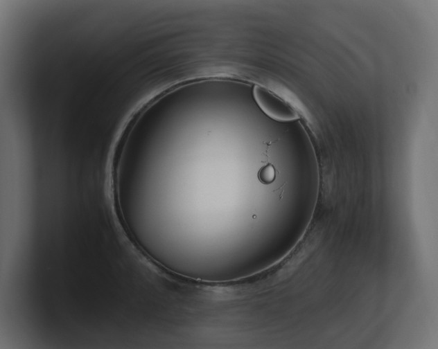 X0000100931088200806241400