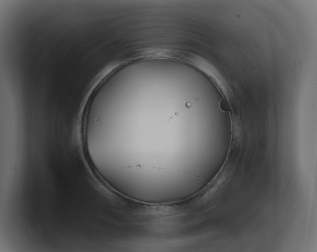 X0000100931090200806241400