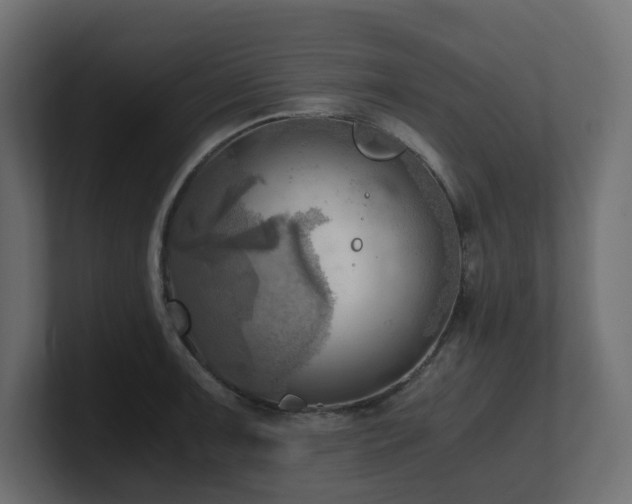 X0000100931091200806241400