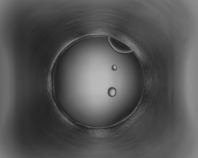 X0000100931092200806241400