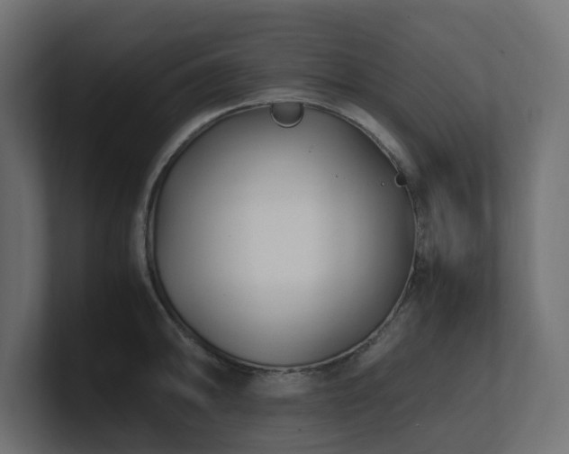 X0000100931094200806241400