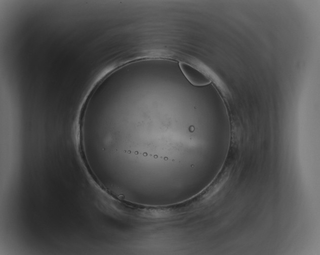 X0000100931095200806241400